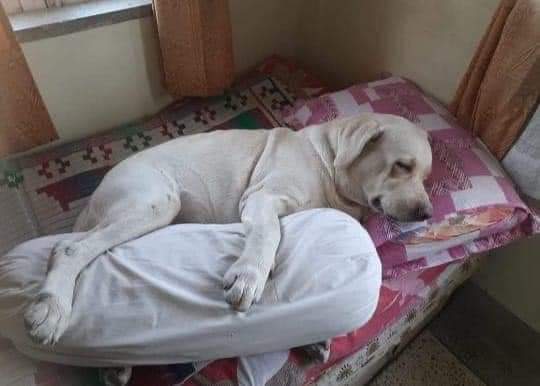 Juanito