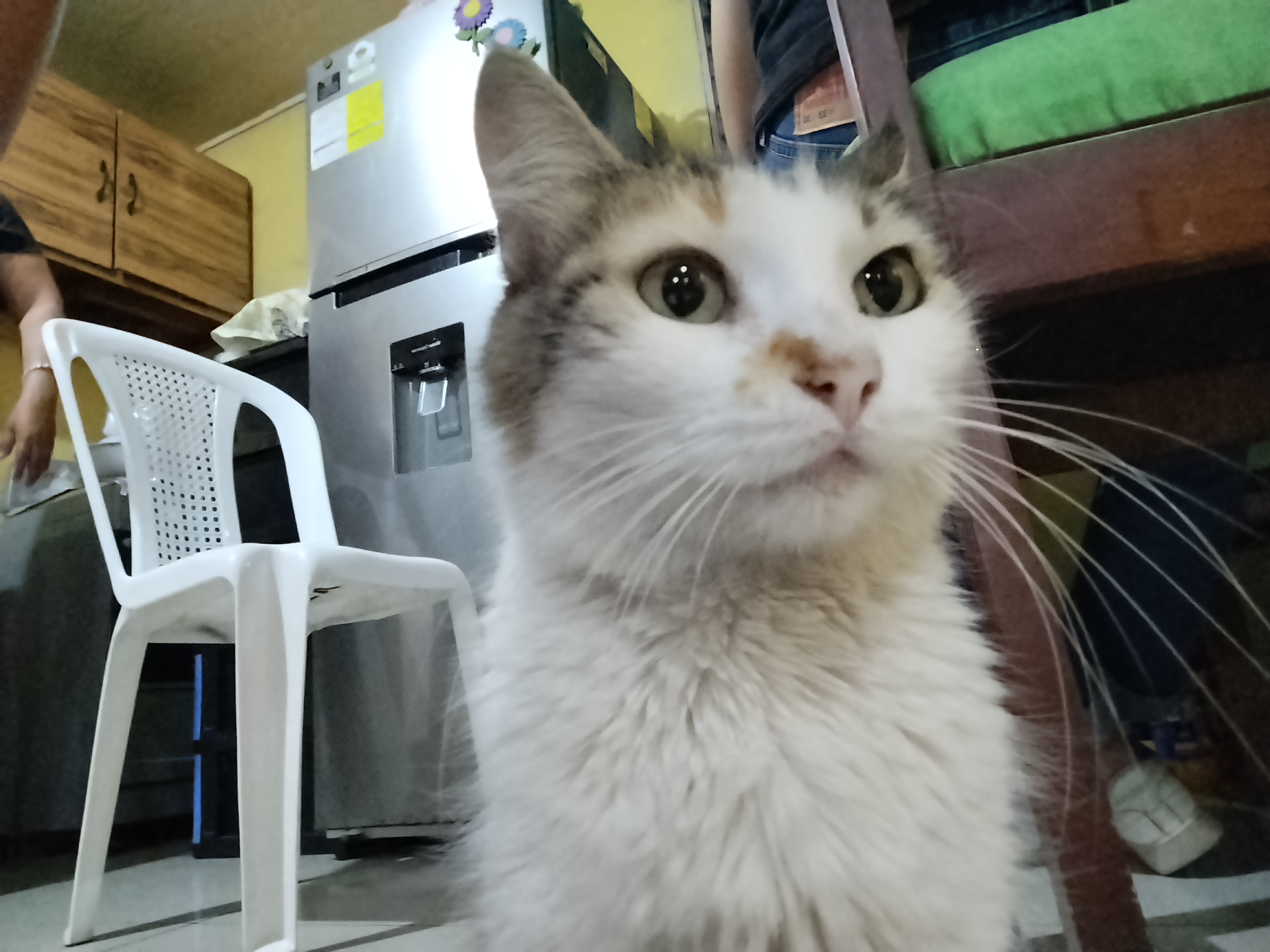 Gati